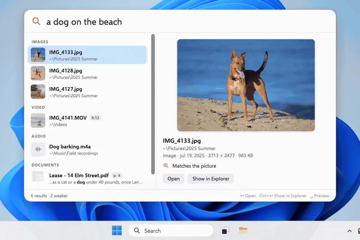 Windows UI: “a dog on the beach”, multimodal results — still from upstream DigUp demo.gif (illustrative for Digup Run).
